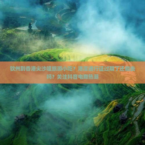 钦州到香港尖沙咀旅游小吃？港澳通行证过期了还能去吗？关注抖音电商热潮