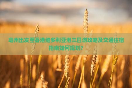 亳州出发至香港维多利亚港三日游攻略及交通住宿指南如何规划？