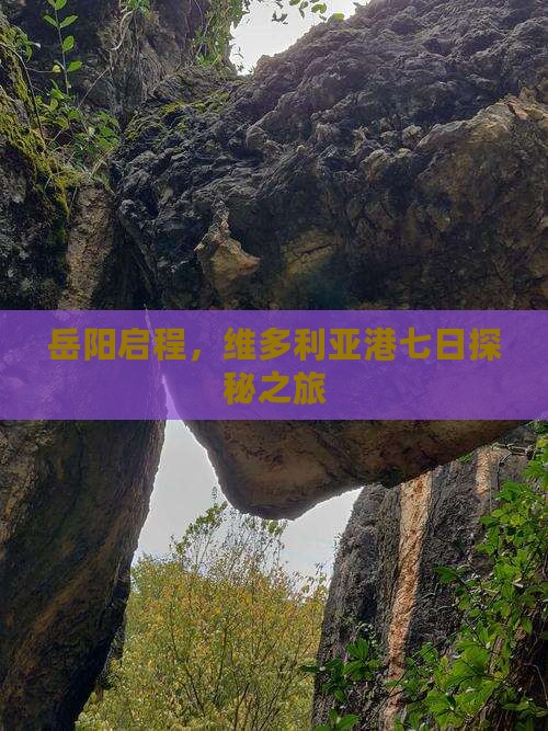 岳阳启程，维多利亚港七日探秘之旅