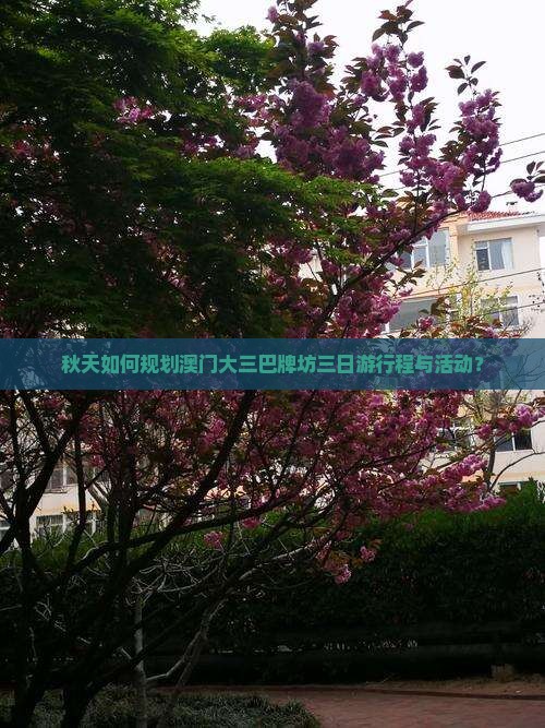 秋天如何规划澳门大三巴牌坊三日游行程与活动？