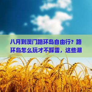 八月到澳门路环岛自由行？路环岛怎么玩才不踩雷，这些潮流打卡点你一定要知道