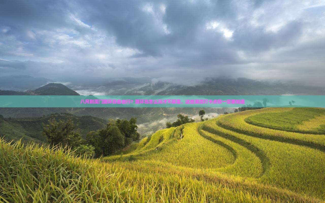 八月到澳门路环岛自由行？路环岛怎么玩才不踩雷，这些潮流打卡点你一定要知道