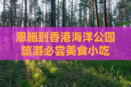恩施到香港海洋公园旅游必尝美食小吃