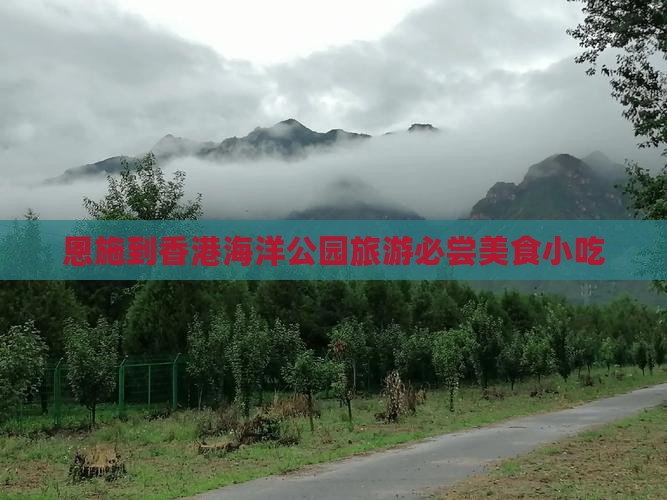 恩施到香港海洋公园旅游必尝美食小吃