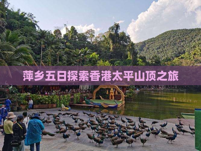 萍乡五日探索香港太平山顶之旅