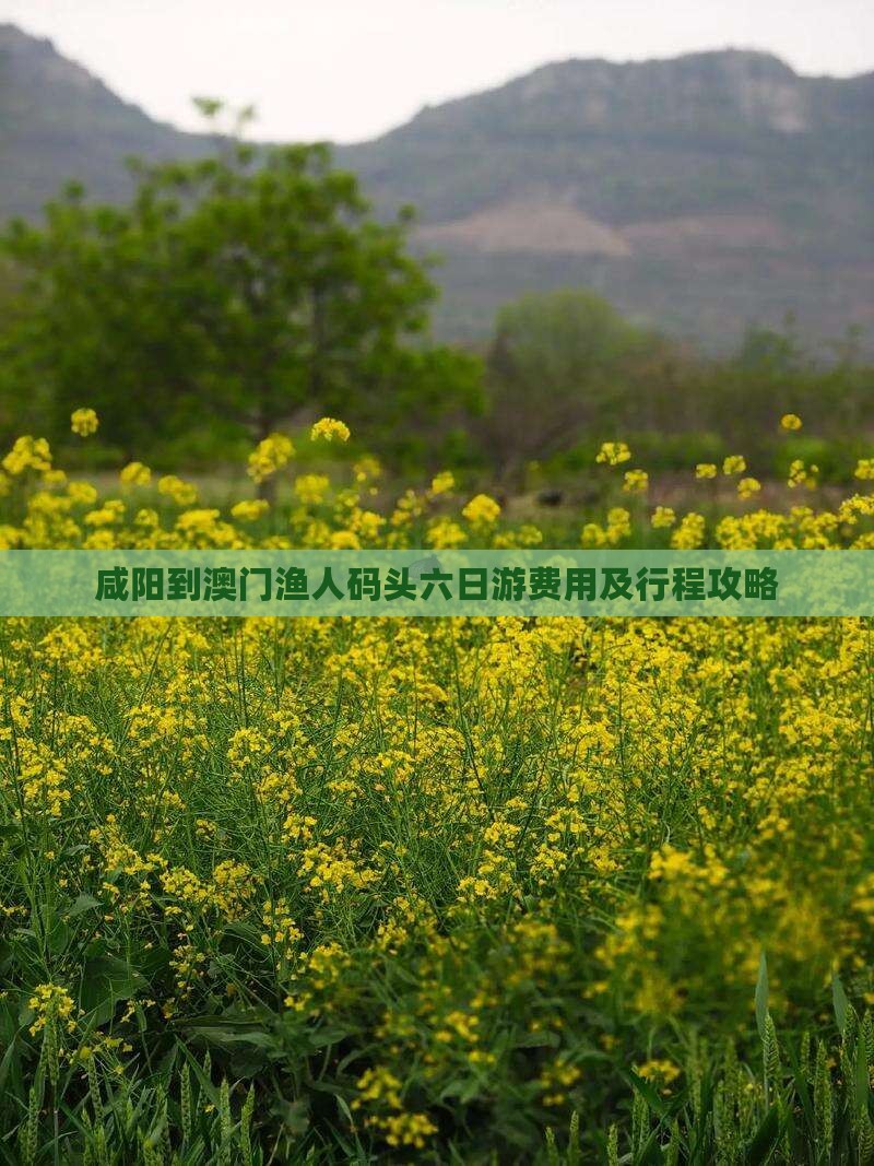 咸阳到澳门渔人码头六日游费用及行程攻略