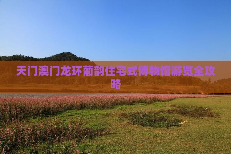 天门澳门龙环葡韵住宅式博物馆游览全攻略