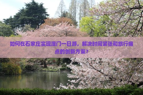 如何在石家庄实现澳门一日游，解决时间紧张和旅行痛点的创新方案？