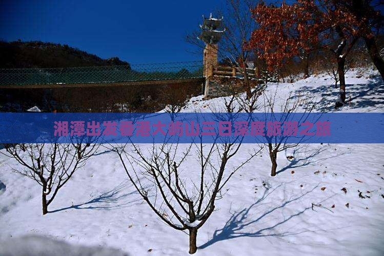 湘潭出发香港大屿山三日深度旅游之旅