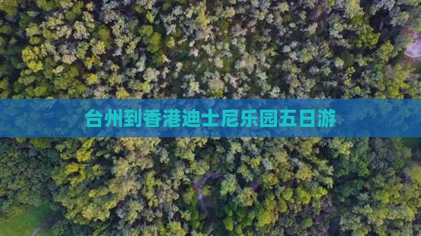 台州到香港迪士尼乐园五日游