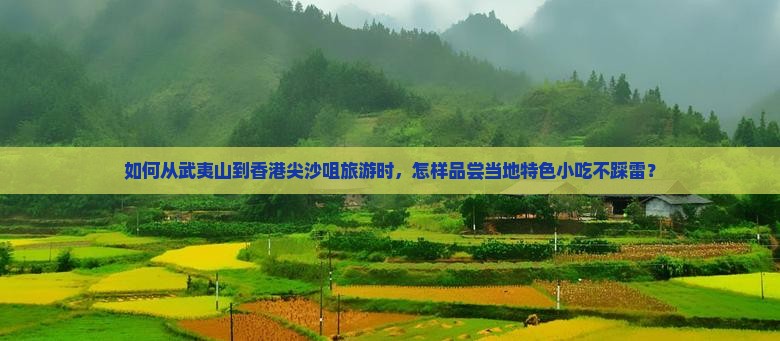 如何从武夷山到香港尖沙咀旅游时，怎样品尝当地特色小吃不踩雷？