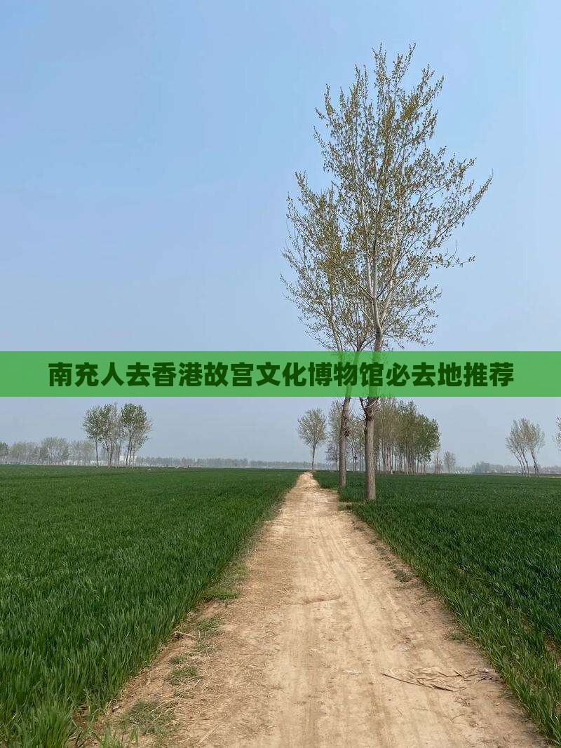 南充人去香港故宫文化博物馆必去地推荐