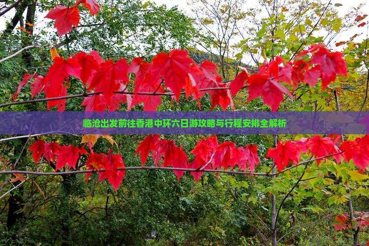 临沧出发前往香港中环六日游攻略与行程安排全解析