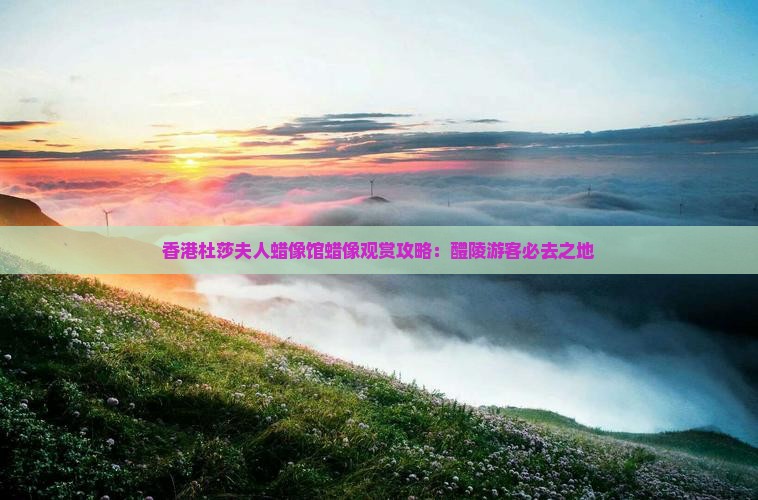 香港杜莎夫人蜡像馆蜡像观赏攻略：醴陵游客必去之地