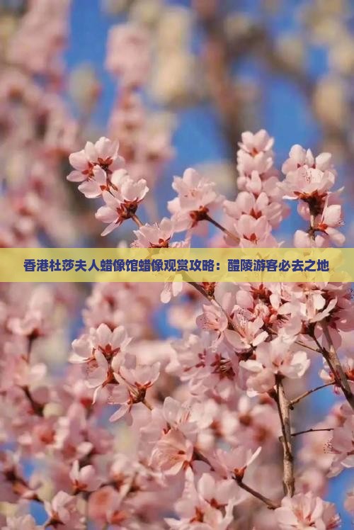 香港杜莎夫人蜡像馆蜡像观赏攻略：醴陵游客必去之地
