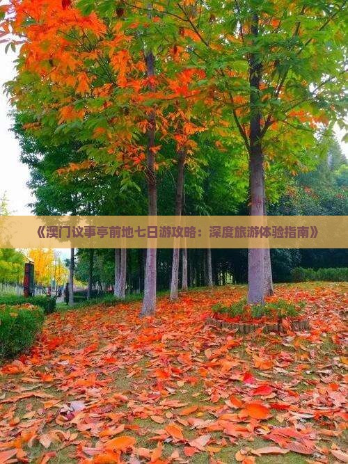 《澳门议事亭前地七日游攻略：深度旅游体验指南》