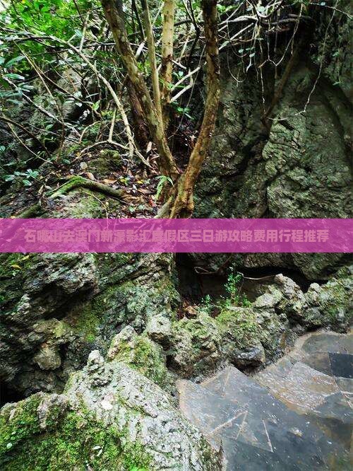 石嘴山去澳门新濠影汇度假区三日游攻略费用行程推荐