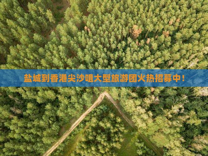 盐城到香港尖沙咀大型旅游团火热招募中！