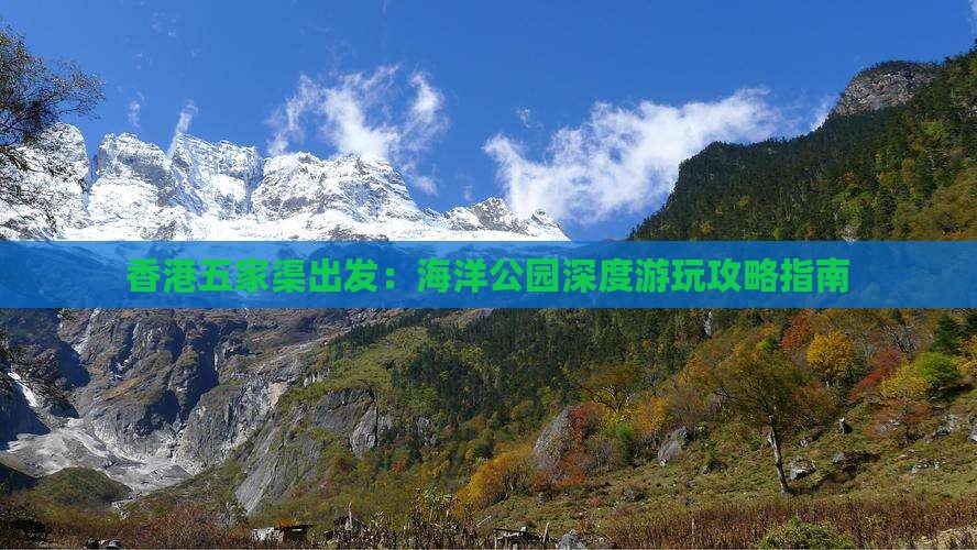 香港五家渠出发：海洋公园深度游玩攻略指南