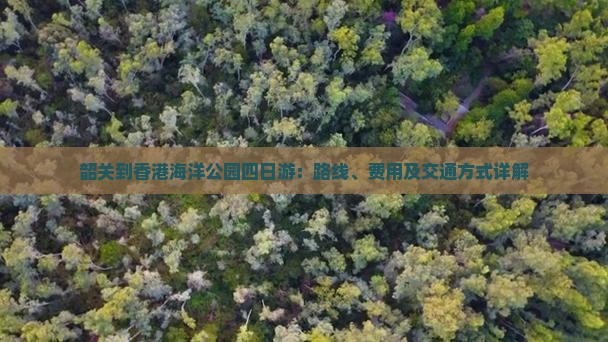 韶关到香港海洋公园四日游：路线、费用及交通方式详解