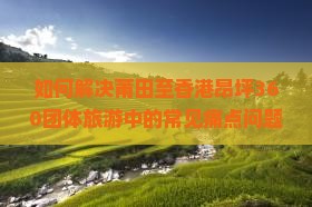 如何解决莆田至香港昂坪360团体旅游中的常见痛点问题，如何实现高效出行体验？