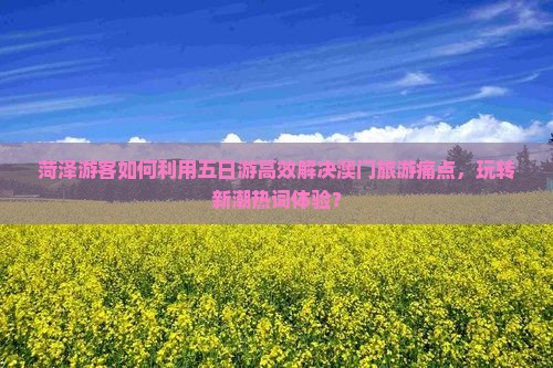 菏泽游客如何利用五日游高效解决澳门旅游痛点，玩转新潮热词体验？