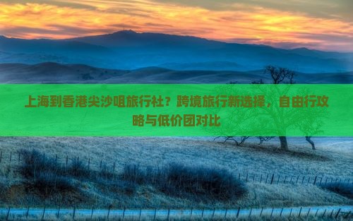 上海到香港尖沙咀旅行社？跨境旅行新选择，自由行攻略与低价团对比