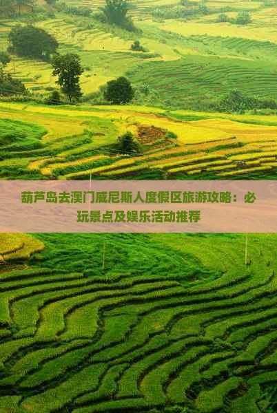 葫芦岛去澳门威尼斯人度假区旅游攻略:必玩景点及娱乐活动推荐 葫芦岛去澳门威尼斯人度假区旅游攻略:必玩景点及娱乐活动推荐