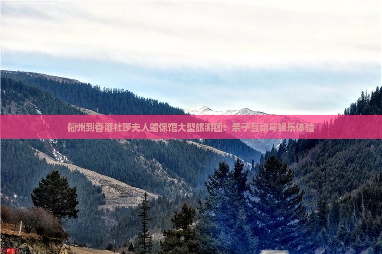衢州到香港杜莎夫人蜡像馆大型旅游团：亲子互动与娱乐体验