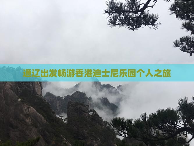 通辽出发畅游香港迪士尼乐园个人之旅