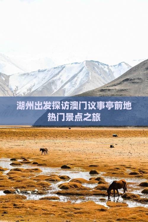 湖州出发探访澳门议事亭前地热门景点之旅