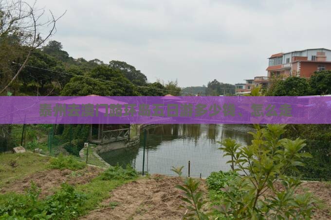 泰州去澳门路环岛五日游多少钱、怎么走 泰州去澳门路环岛五日游多少钱、怎么走