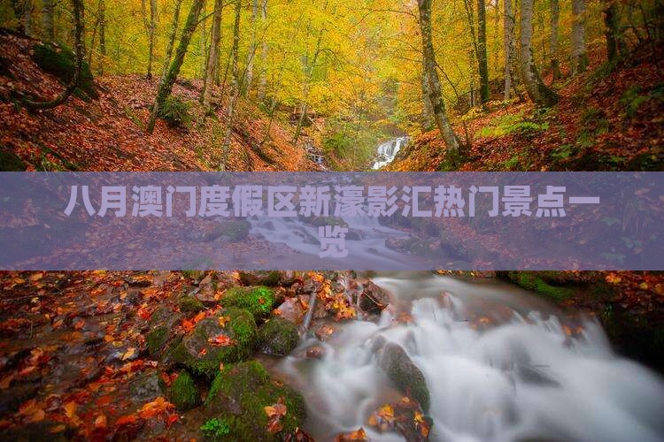 八月澳门度假区新濠影汇热门景点一览 八月澳门度假区新濠影汇热门景点一览