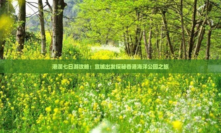 港澳七日游攻略:宣城出发探秘香港海洋公园之旅 港澳七日游攻略:宣城出发探秘香港海洋公园之旅