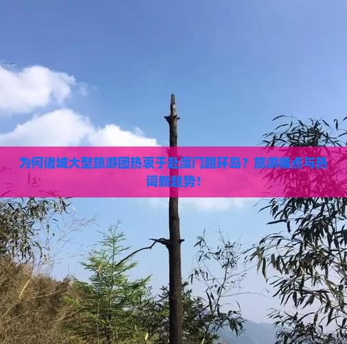 为何诸城大型旅游团热衷于赴澳门路环岛？旅游痛点与热词新趋势！