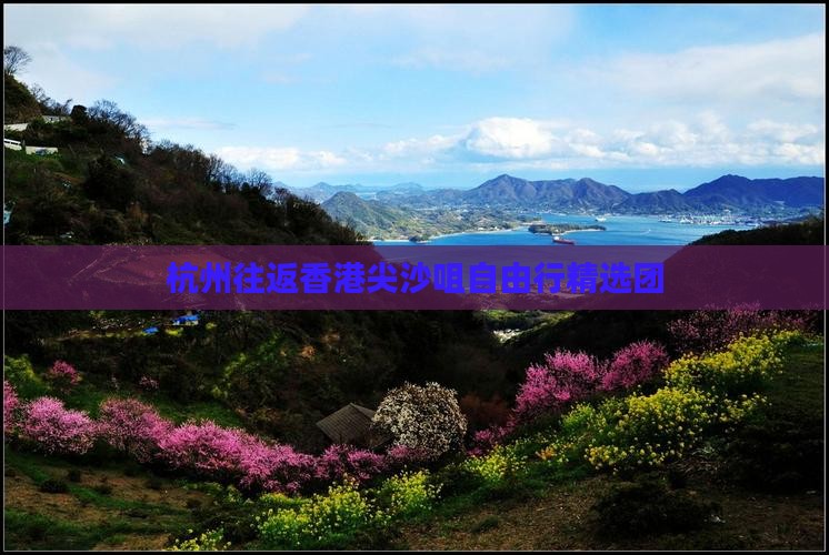 杭州往返香港尖沙咀自由行精选团
