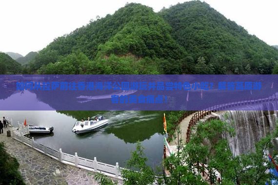 如何从拉萨前往香港海洋公园游玩并品尝特色小吃?解答高原游客的美食痛点! 如何从拉萨前往香港海洋公园游玩并品尝特色小吃?解答高原游客的美食痛点!