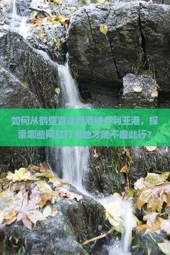 如何从鹤壁直达香港维多利亚港，探索哪些网红打卡地才能不虚此行？