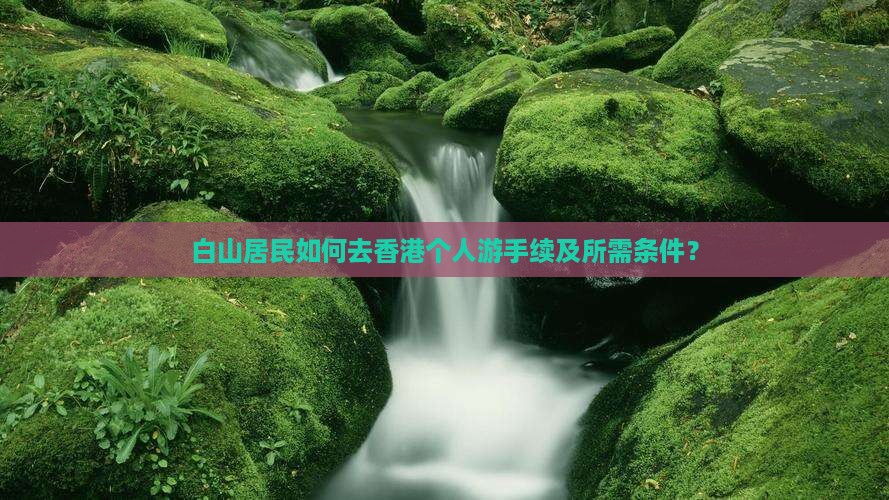 白山居民如何去香港个人游手续及所需条件？