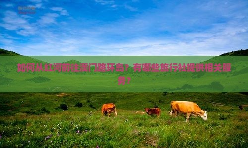 如何从红河前往澳门路环岛？有哪些旅行社提供相关服务？