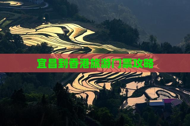 宜昌到香港旅游门票攻略