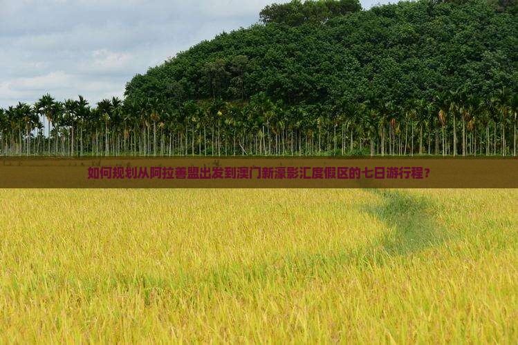 如何规划从阿拉善盟出发到澳门新濠影汇度假区的七日游行程？
