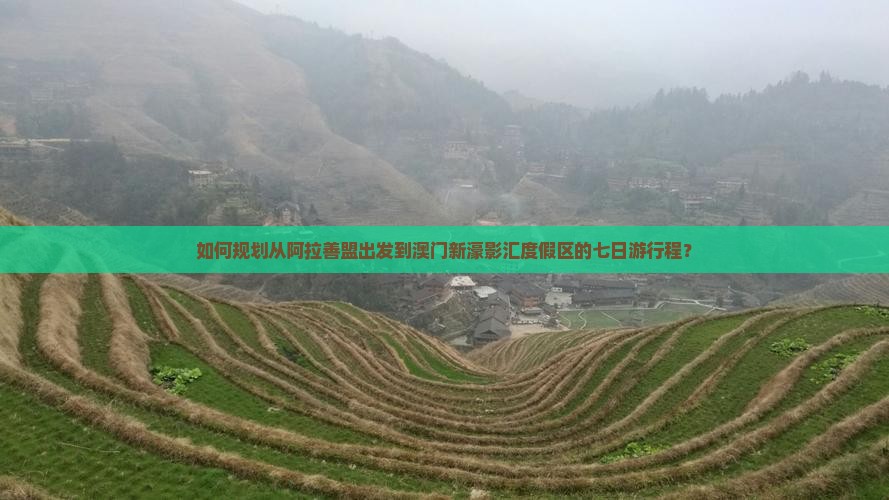 如何规划从阿拉善盟出发到澳门新濠影汇度假区的七日游行程？