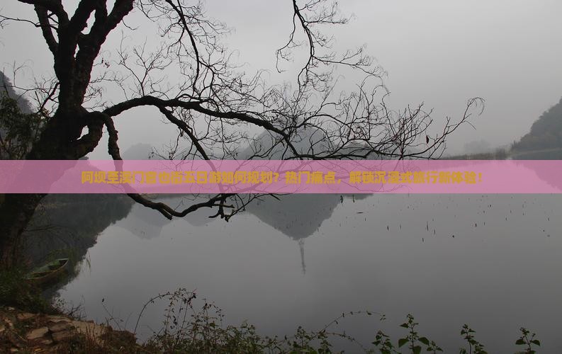 阿坝至澳门官也街五日游如何规划？热门痛点，解锁沉浸式旅行新体验！