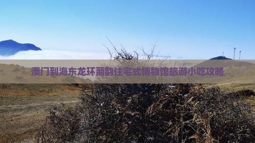 澳门到海东龙环葡韵住宅式博物馆旅游小吃攻略
