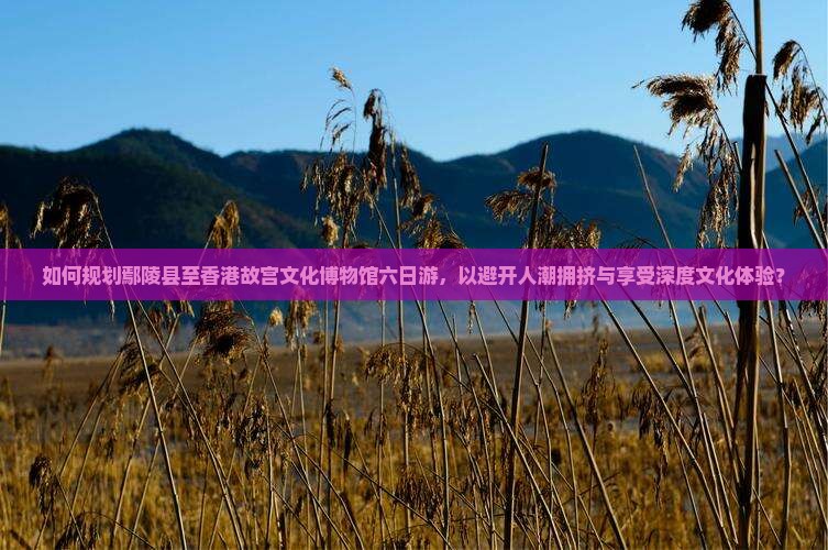 如何规划鄢陵县至香港故宫文化博物馆六日游，以避开人潮拥挤与享受深度文化体验？