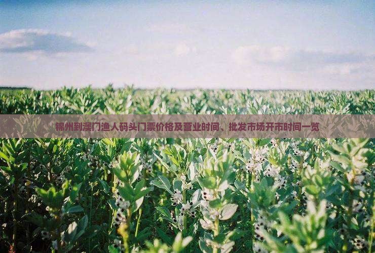 锦州到澳门渔人码头门票价格及营业时间、批发市场开市时间一览