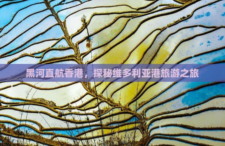 黑河直航香港，探秘维多利亚港旅游之旅