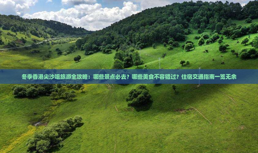 冬季香港尖沙咀旅游全攻略：哪些景点必去？哪些美食不容错过？住宿交通指南一览无余