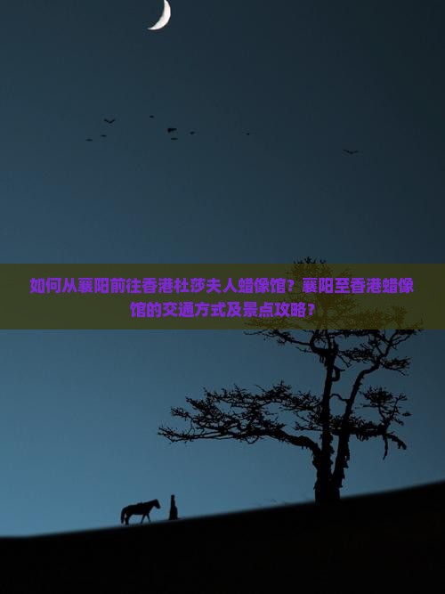 如何从襄阳前往香港杜莎夫人蜡像馆？襄阳至香港蜡像馆的交通方式及景点攻略？
